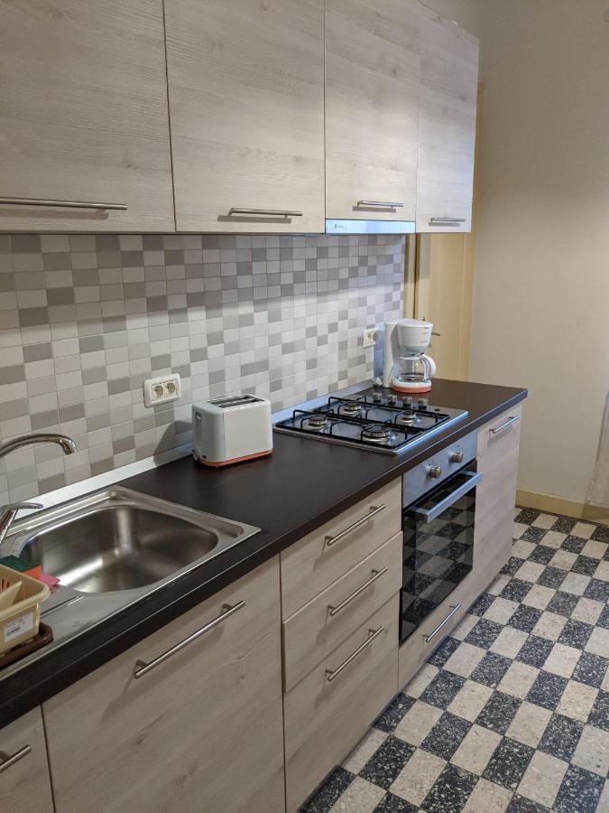 Cristian Apartment Near Old Town Timisoara Exterior photo