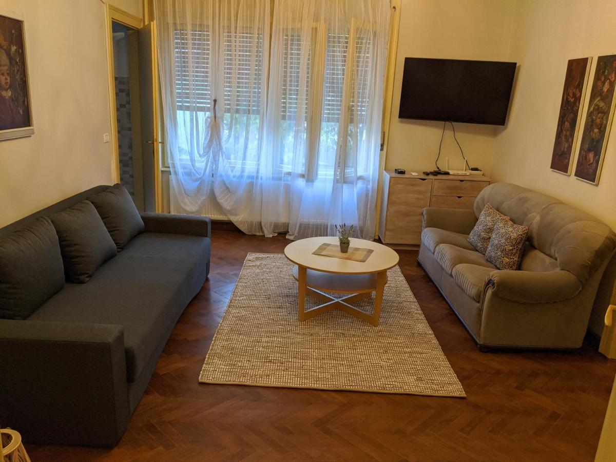 Cristian Apartment Near Old Town Timisoara Exterior photo
